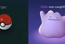 How to Catch a Ditto