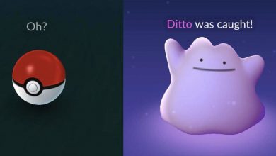How to Catch a Ditto